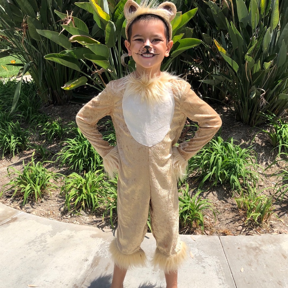 One of a kind, professional hand made Little Simba Costume from the Lion King!